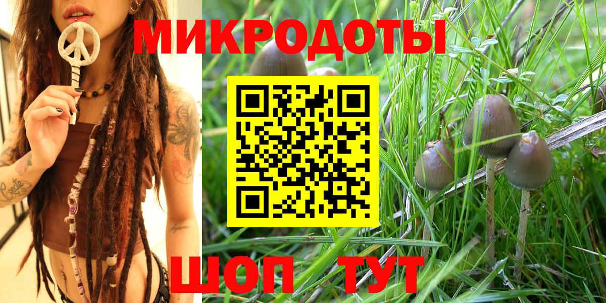 Псилоцибиновые грибы Magic Shrooms Бузулук